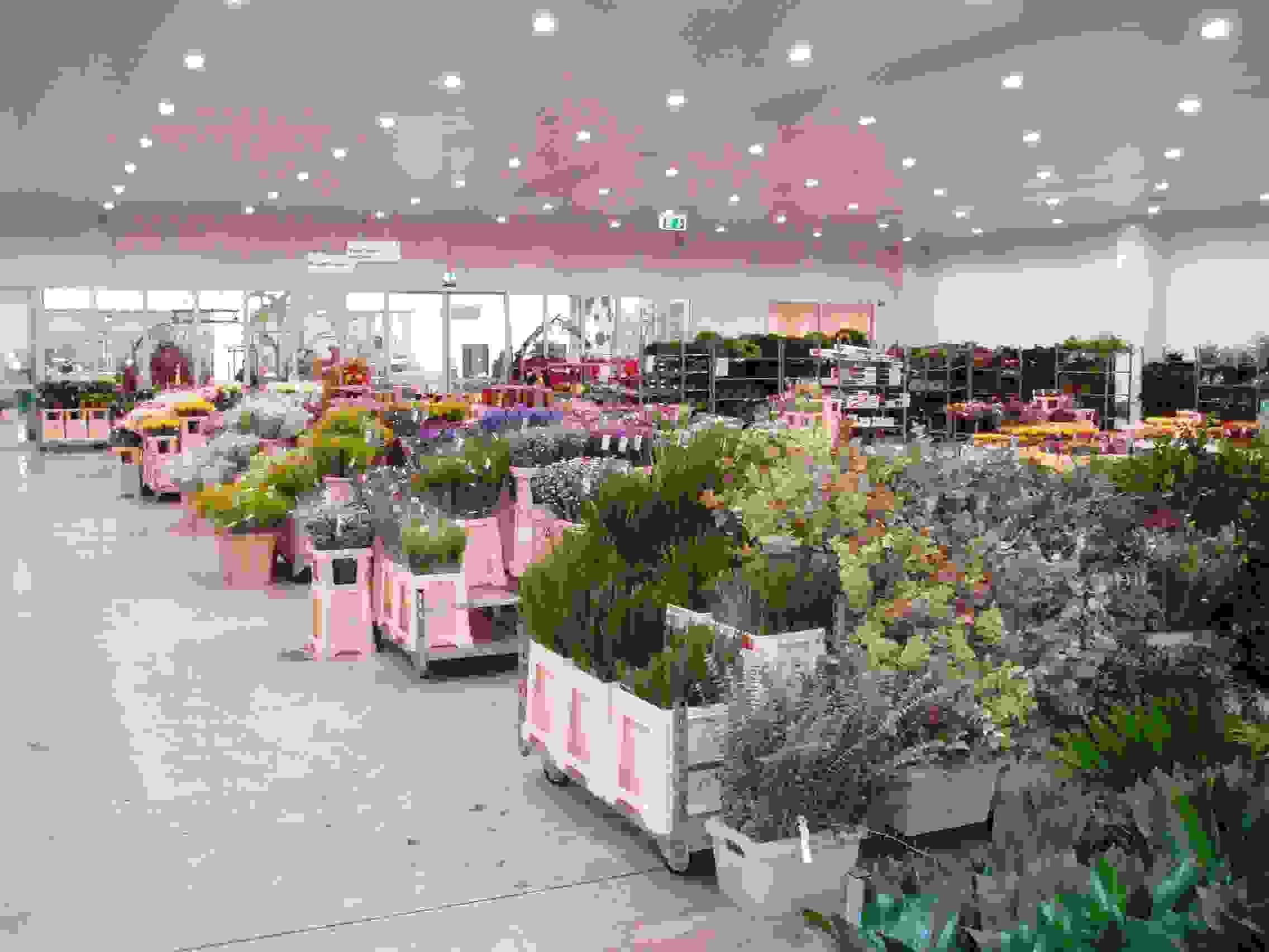 Business Software und Barcodes bringen die Zürcher Blumenbörse zum Blühen