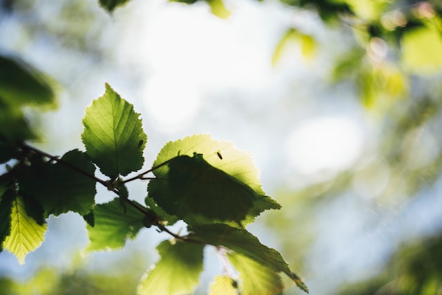 Frischluft als Service, der Geld und Energie spart