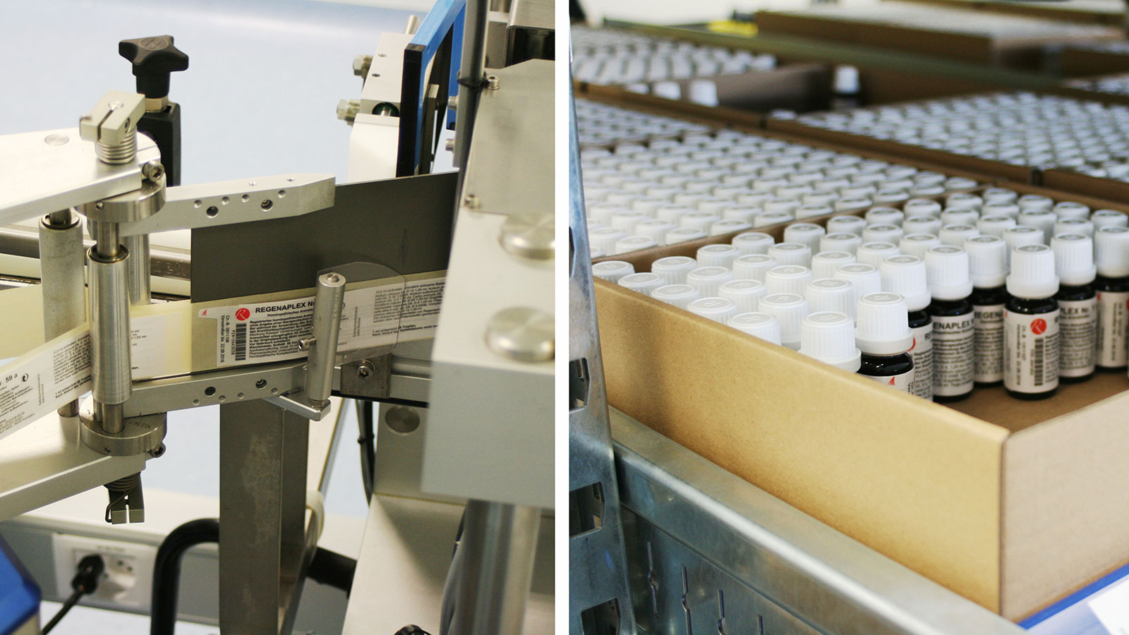 «Die Alchemie muss auf allen Ebenen funktionieren»