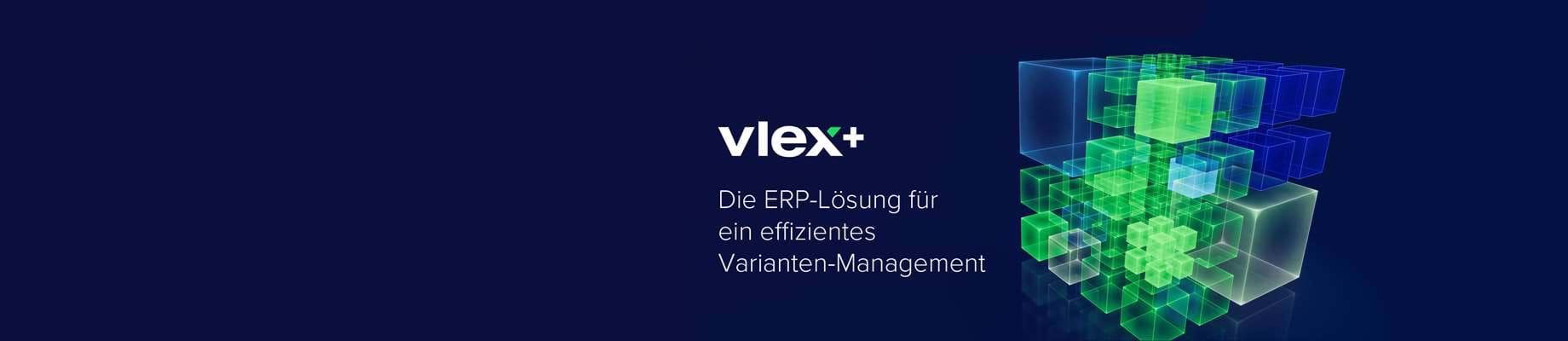 VLEXbusiness AG logo