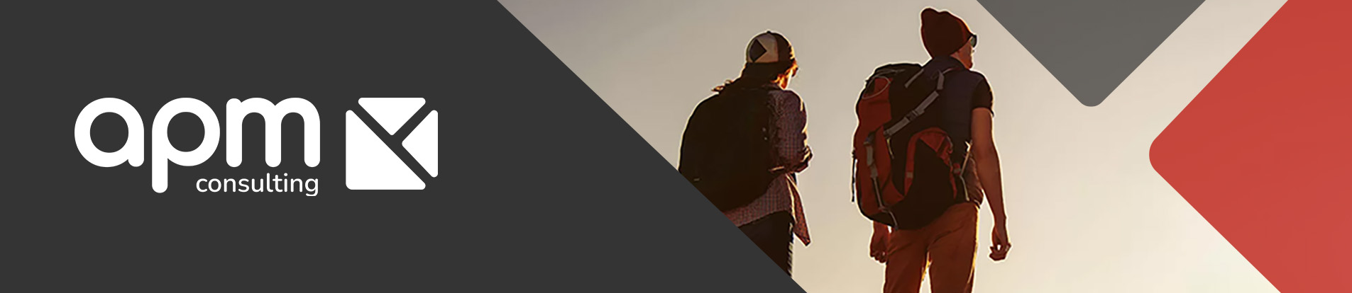 apm consulting (schweiz) ag logo