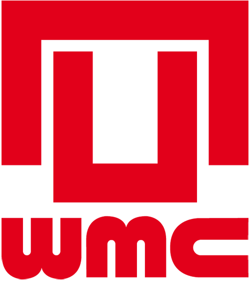 WMC IT Solutions AG logo