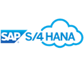 SAP S/4HANA Cloud Public Edition