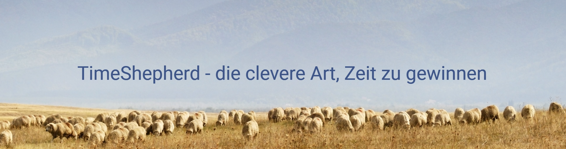 Lothal Datentechnik & Partner AG logo