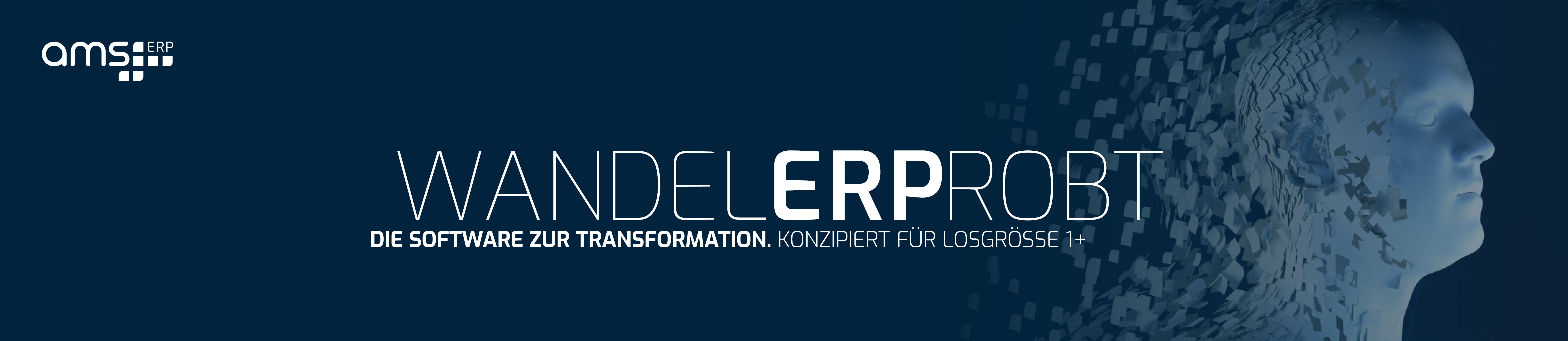 ams.erp Solution AG logo