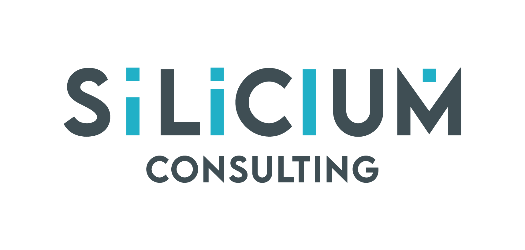 Silicium Consulting GmbH logo