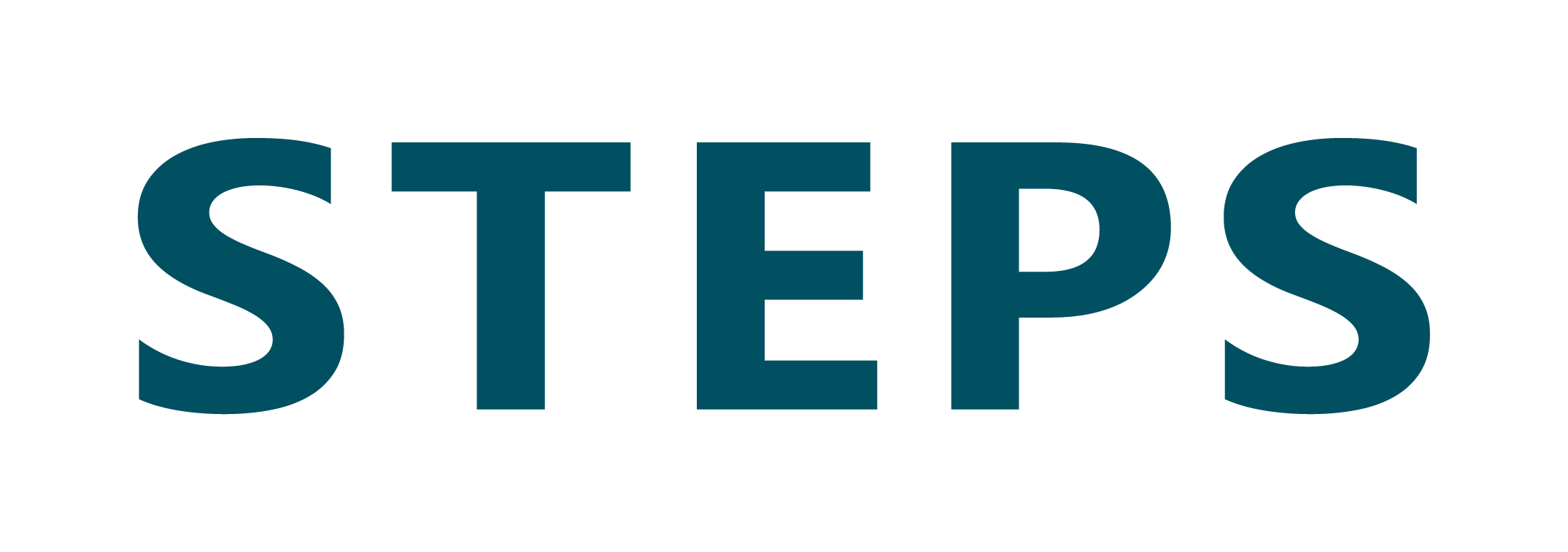 STEPS - Ihr ERP für Handel, Service und IT 
