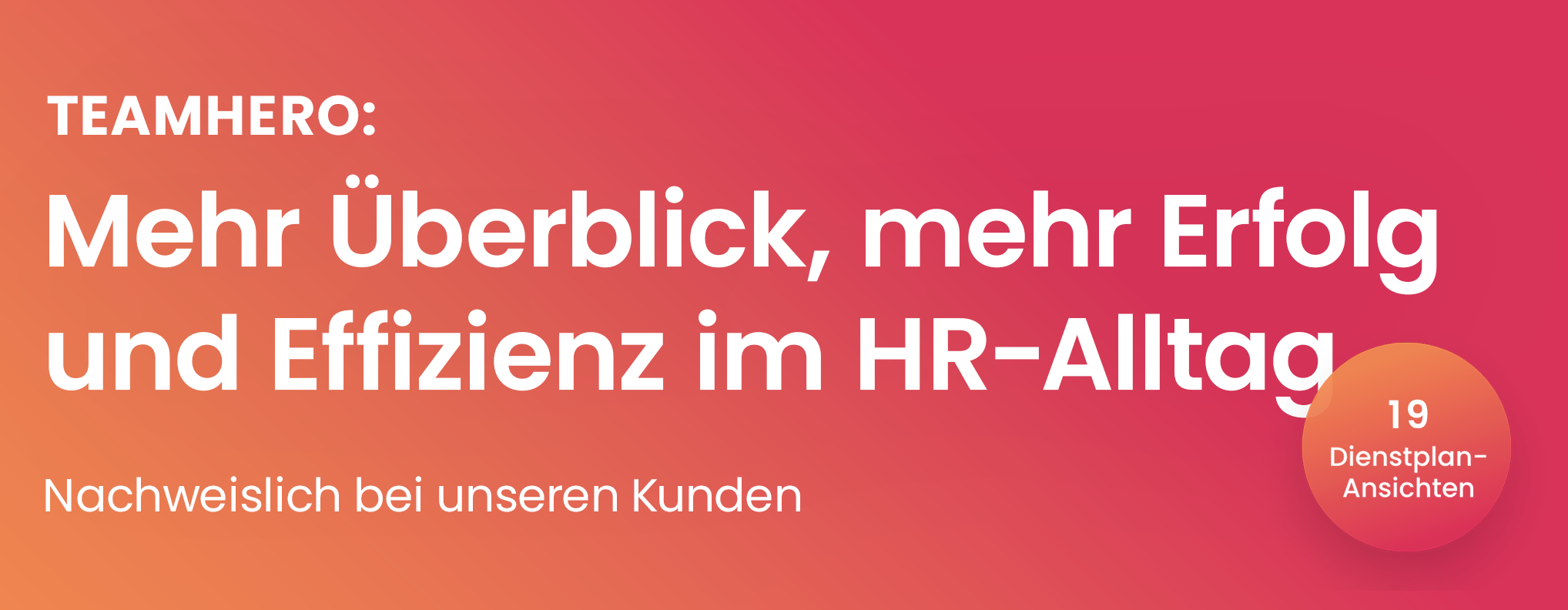 Teamhero Schweiz GmbH logo