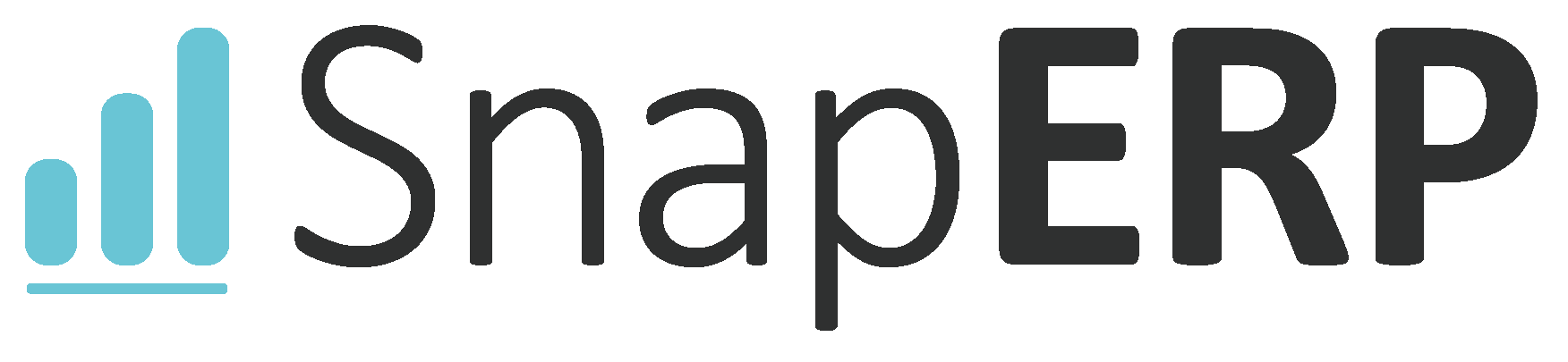 SnapERP AG logo
