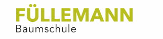 Füllemann AG