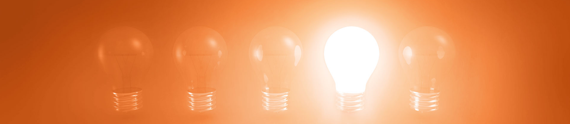 busch-consulting GmbH logo