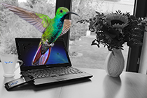 Produktdaten sind das neue Gold in Zeiten der Digitalisierung