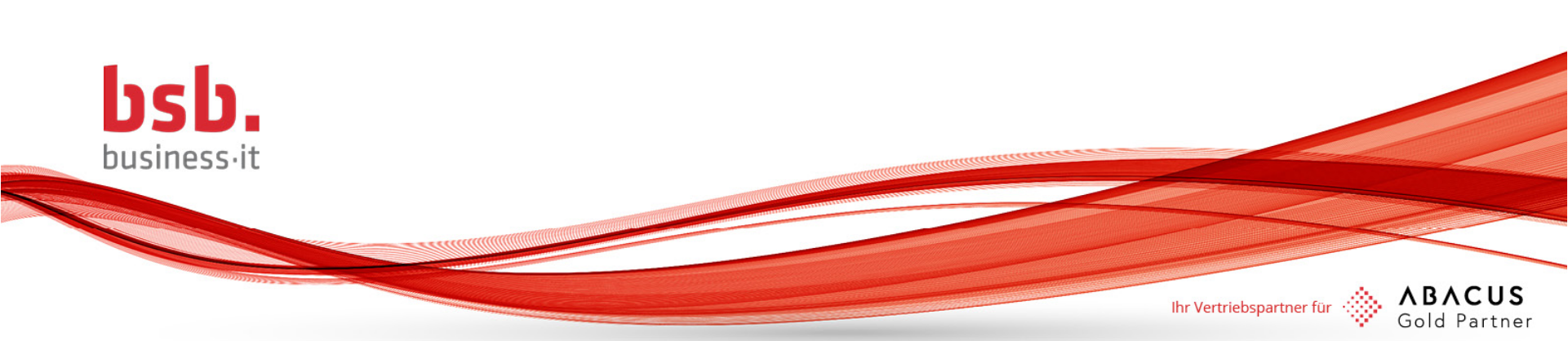 bsb.info.partner AG logo