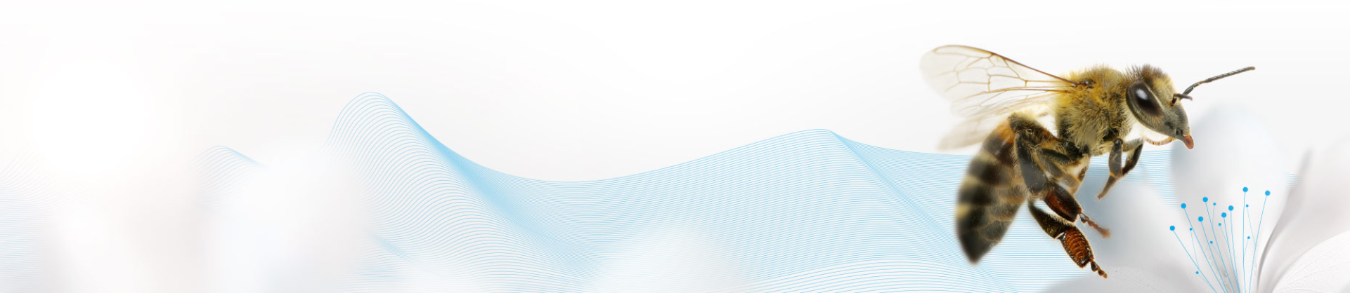 apollon GmbH+Co. KG logo