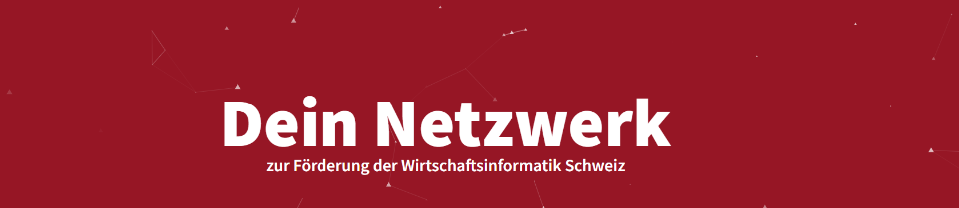 VIW Wirtschaftsinformatik Schweiz logo