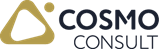 COSMO CONSULT logo