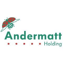 Andermatt Group AG