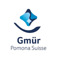 E.J. Gmür AG